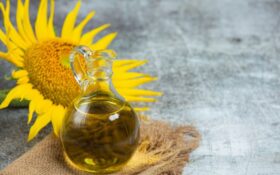 Kiedy i gdzie warto kupić olej słonecznikowy nierafinowany?